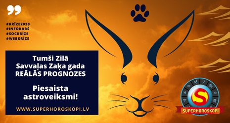 TUMŠĀ SAVVAĻAS ZAĶA GADS