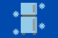 LEDUSSKAPJA TĪRĪŠANAS DIENA