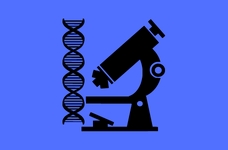 STARPTAUTISKĀ DNS DIENA